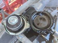 HINO Ranger Container Carrier Truck 2KG-FC2ABA 2019 219,260km_13