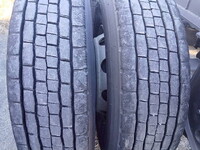 NIPPON TREX  Others Trailer CTB32002 2021 0km_19