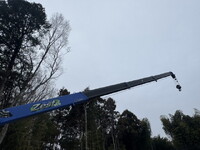 ISUZU Forward Truck (With 4 Steps Of Cranes) QKG-FTR34T2 2017 112,083km_29