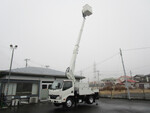 Dutro Cherry Picker