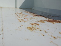 MITSUBISHI FUSO Fighter Container Carrier Truck 2KG-FK62FY 2021 285,000km_15