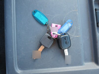 ISUZU Forward Truck (With 5 Steps Of Cranes) 2RG-FSR90S2 2020 16,166km_12