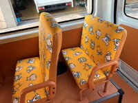 TOYOTA Hiace Kindergarten Bus  3BF-TRH223B 2023 15,000km_29