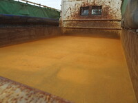 HINO Dutro Dump SDG-XZU700X 2012 88,000km_12