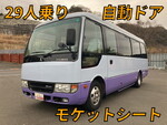 Rosa Micro Bus
