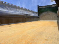 UD TRUCKS Quon Dump 2PG-CW5BL 2018 -_15