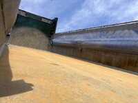 UD TRUCKS Quon Dump 2PG-CW5BL 2018 -_16