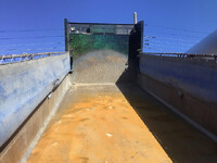 UD TRUCKS Quon Dump 2PG-CW5BL 2018 723,944km_5