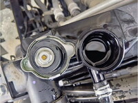 ISUZU Forward Container Carrier Truck 2RG-FRR90S2 2021 23,303km_18