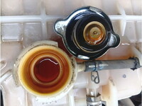 HINO Profia Aluminum Wing 2DG-FW1AHG 2019 431,736km_22