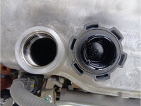 HINO Ranger Container Carrier Truck 2PG-FD2ABA 2023 44,765km_17