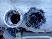 HINO Ranger Container Carrier Truck 2KG-FC2ABA 2022 159,826km_19