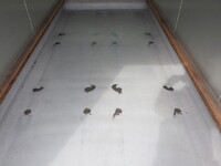 TOYOTA Others Aluminum Van VF-XKU344 2006 162,956km_34