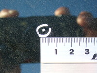 MAZDA Titan Flat Body 2RG-LJR88A 2020 141,100km_39