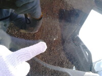 HINO Profia Aluminum Wing 2DG-FW1AHG 2020 397,843km_26