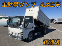 ISUZU Elf Deep Dump PB-NKR81AN 2006 43,100km_1