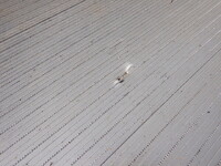 ISUZU Forward Refrigerator & Freezer Truck 2PG-FSR90T2 2022 303,000km_31