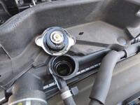 ISUZU Elf Refrigerator & Freezer Truck 2RG-NMR88N 2022 35,000km_19