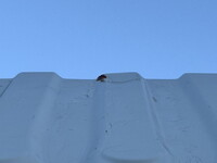 ISUZU Forward Dump TKG-FRR90S1 2013 58,527km_35