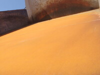 MITSUBISHI FUSO Fighter Dump 2KG-FK72FY 2022 82,000km_12