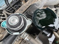 HINO Ranger Container Carrier Truck 2KG-FD2ABA 2024 8,746km_21