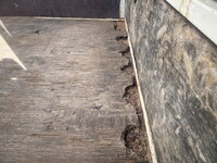 ISUZU Elf Flat Body KK-NKR66EA 2002 256,161km_10