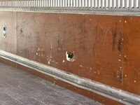 MITSUBISHI FUSO Fighter Aluminum Van 2KG-FK61F 2019 209,615km_14