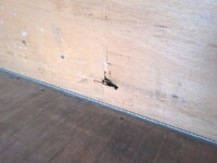 ISUZU Elf Aluminum Van 2RG-NMR88AN 2021 47,764km_22