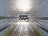 UD TRUCKS Quon Refrigerator & Freezer Truck 2PG-CD5CA 2022 459,000km_31