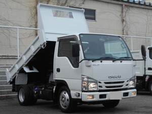 ISUZU Elf Dump 2RG-NJR88AN 2020 29,288km_1