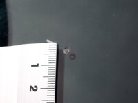 UD TRUCKS Condor Container Carrier Truck TKG-MK38L 2014 303,800km_39