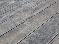 ISUZU Forward Truck (With 4 Steps Of Cranes) 2PG-FRR90S2 2023 32,365km_32