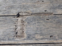 ISUZU Forward Truck (With 4 Steps Of Cranes) 2PG-FRR90S2 2023 32,365km_33