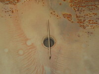 HINO Ranger Sprinkler Truck TKG-FC9JCAP 2016 11,000km_31