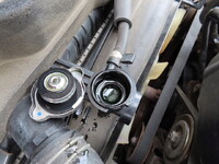 ISUZU Elf Refrigerator & Freezer Truck TPG-NLR85AN 2016 200,500km_19