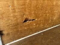 MITSUBISHI FUSO Canter Aluminum Van TPG-FEB50 2019 94,570km_14