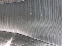 HINO Profia Aluminum Wing 2DG-FW1AHG 2019 232,197km_40