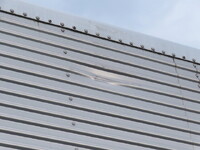 Others Others Gull Wing Trailer PFN24103 2012 0km_29