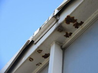 MITSUBISHI FUSO Fighter Aluminum Wing TKG-FK61F 2017 281,176km_14