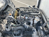 NISSAN Atlas Refrigerator & Freezer Truck TKG-SZ2F24 2015 178,733km_27