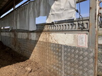 MITSUBISHI FUSO Canter Cattle Transport Truck PDG-FE82D 2011 60,207km_12