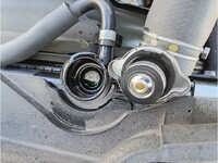 ISUZU Elf Truck (With 4 Steps Of Cranes) 2RG-NMR88R 2021 39,689km_24