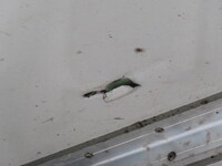 MITSUBISHI FUSO Super Great Refrigerator & Freezer Truck 2PG-FS75HZ 2017 937,500km_34