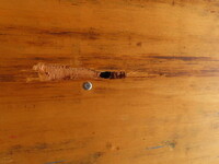 MITSUBISHI FUSO Fighter Aluminum Wing TKG-FK64F 2017 281,500km_31