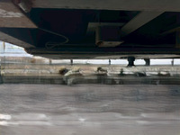 TRAILMOBILE Others Flat Bed P336TF 1991 0km_4