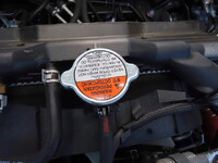 HINO Ranger Container Carrier Truck 2KG-FD2ABA 2025 1,300km_15