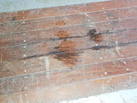 NIPPON FRUEHAUF Others Gull Wing Trailer DFPDG341A 2018 0km_32