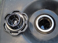 ISUZU Elf Aluminum Van TRG-NNR85AN 2019 65,500km_19