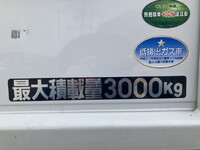 NISSAN Atlas Flat Body TRG-FBA5W 2019 34,716km_19