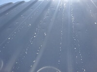 ISUZU Elf Safety Loader 2RG-NPR88AM 2025 10,005km_39